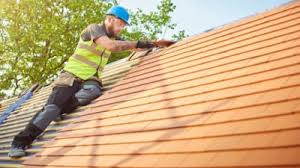 Best Roof Maintenance and Cleaning  in Pleasant Grove, UT